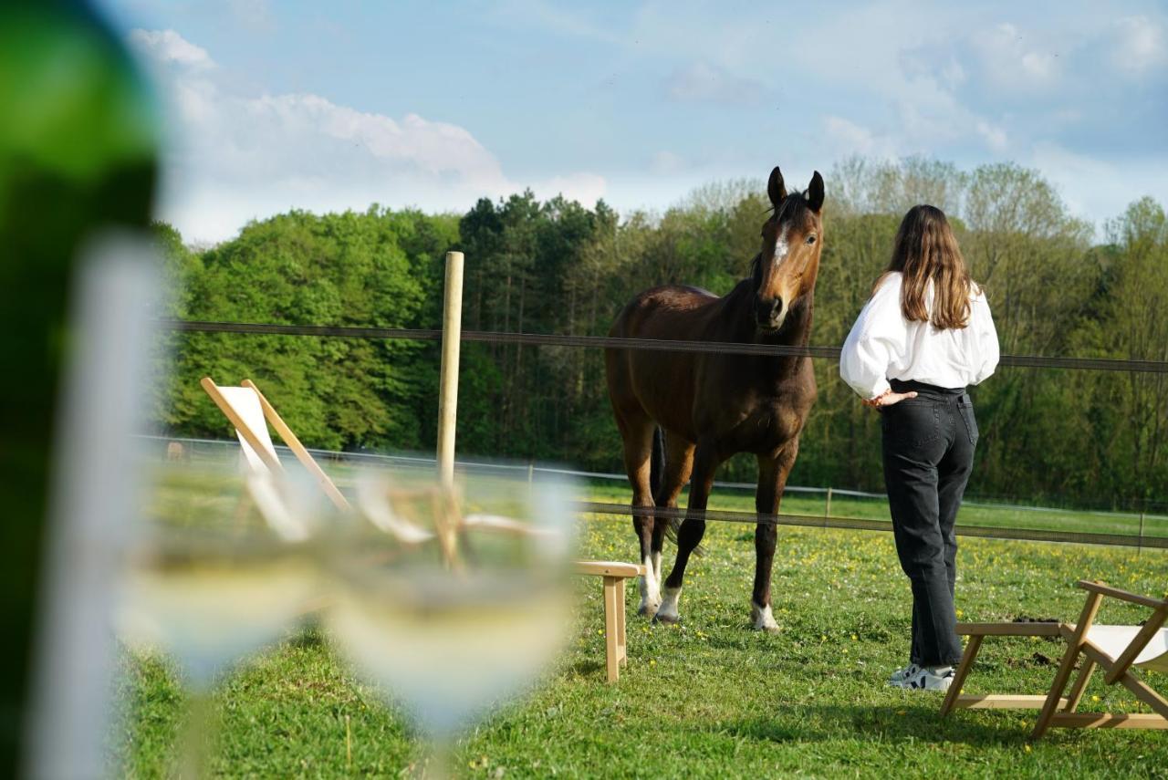 シャンブリ Tiny House Centre Equestre - 35 Mins De Parisヴィラ エクステリア 写真